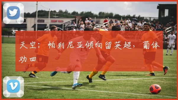 天空：帕利尼亚倾向留英超，葡体劝回